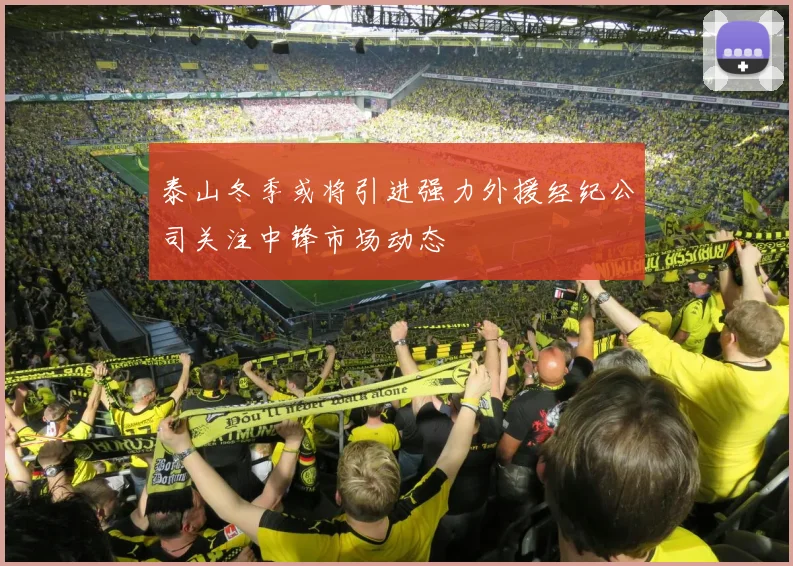 泰山冬季或将引进强力外援经纪公司关注中锋市场动态